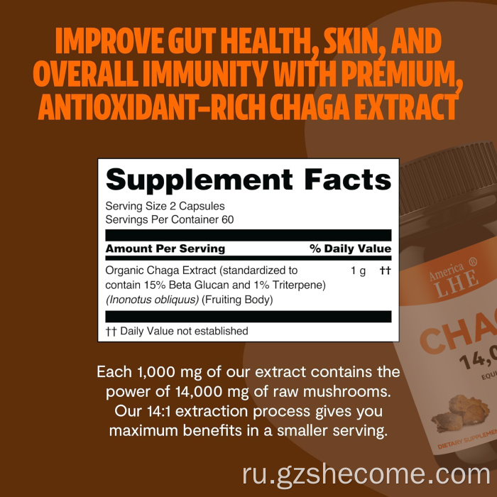 Грибные капсулы грибов CHAGA Capsules поддерживают здоровье